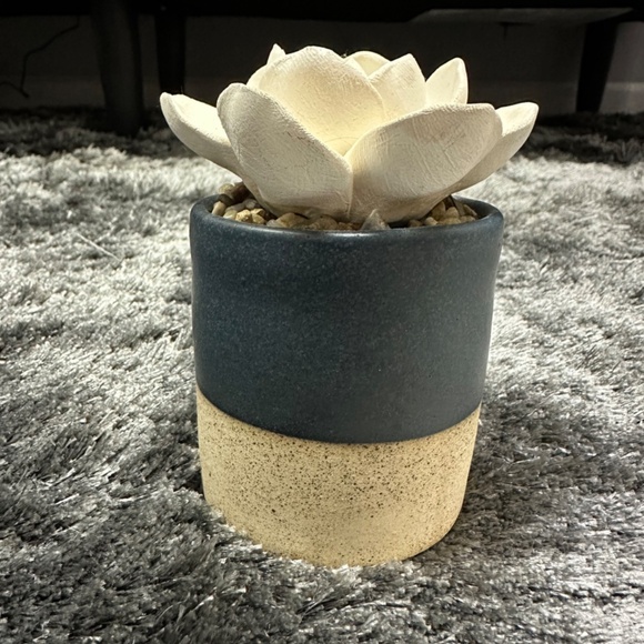 Demdaco Succulent 3 x 5 Stoneware Decorative Tabletop Oil Diffuser - Picture 7 of 11